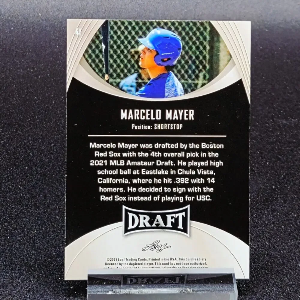 Panini marcelo mayer